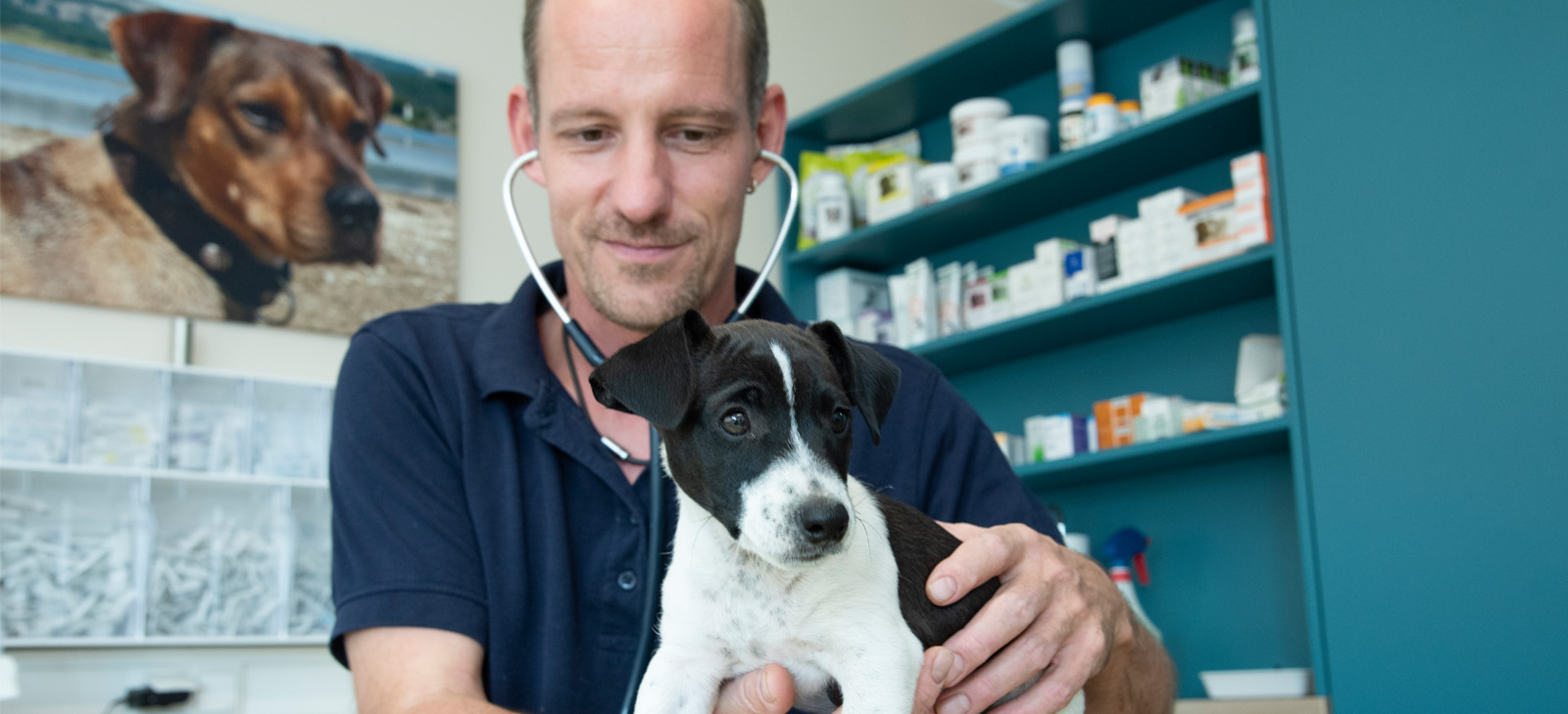 Tierarztpraxis Dr. med. vet. Arnold Bonitz, Hornbach / Zweibrücken